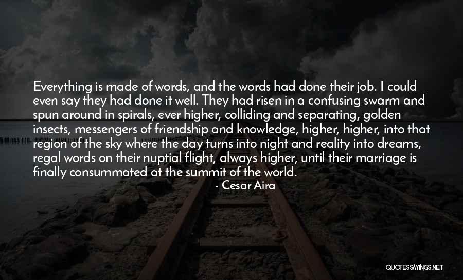 Separating From The World Quotes By Cesar Aira Separating From The World Quotes By Cesar Aira
