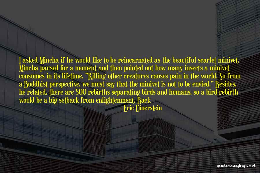 Separating Quotes By Eric Dinerstein Separating Quotes By Eric Dinerstein