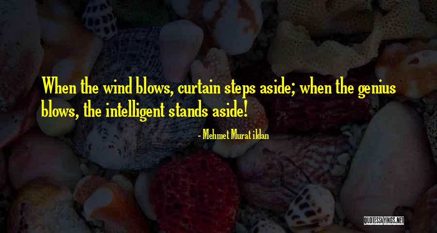 Separation Forms Quotes By Mehmet Murat Ildan