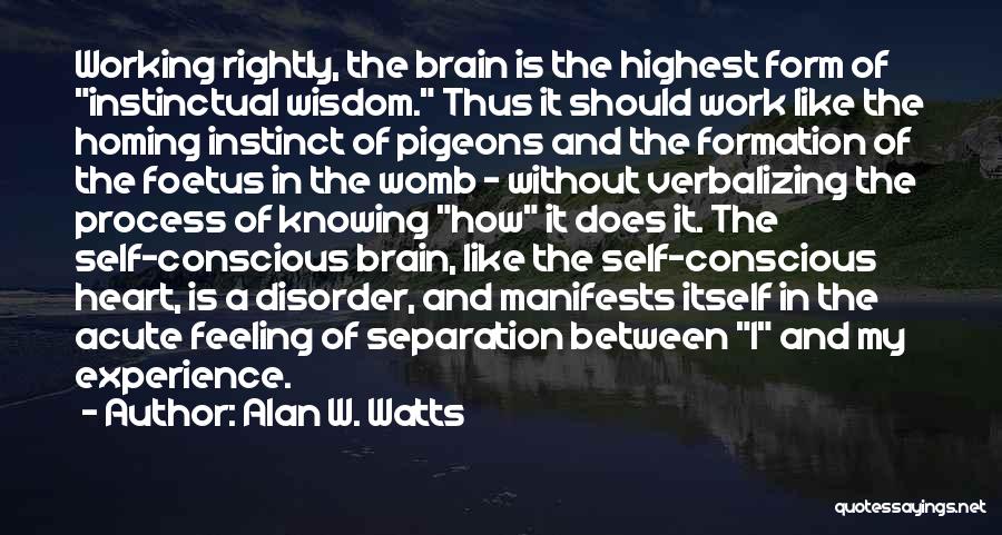Separation From Work Quotes By Alan W. Watts