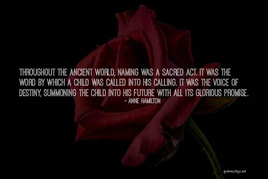 Sepehr Sarshar Quotes By Anne Hamilton Sepehr Sarshar Quotes By Anne Hamilton