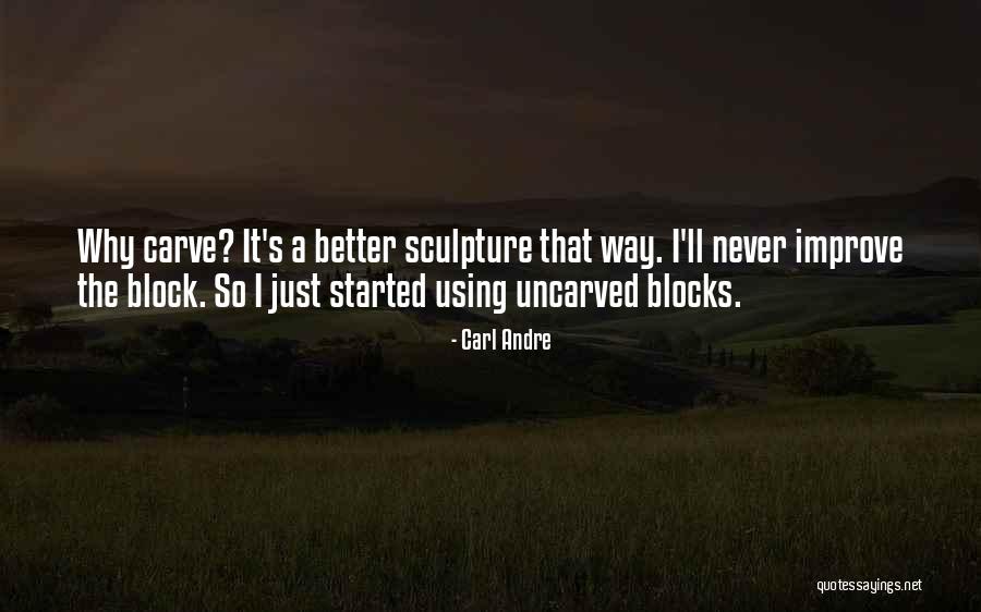 Sepehripour Quotes By Carl Andre Sepehripour Quotes By Carl Andre