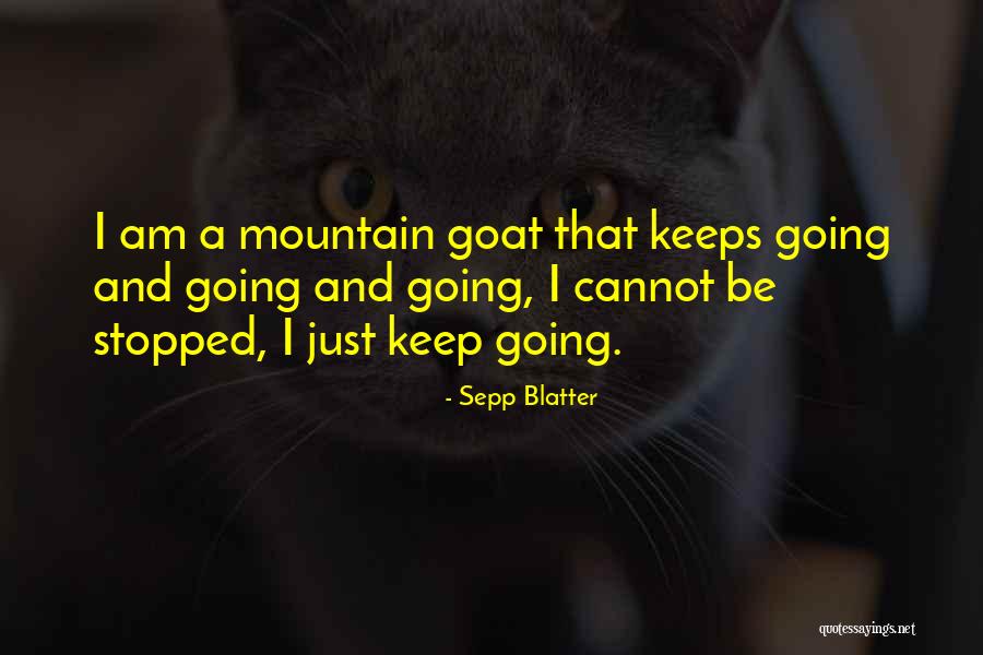 Sepp Blatter Quotes 2265478