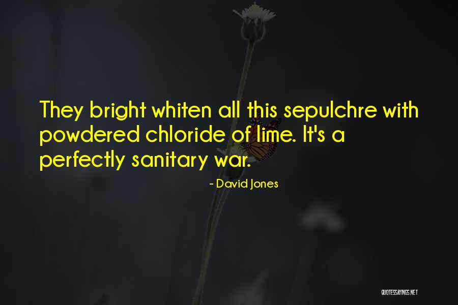 Sepulchre Quotes By David Jones Sepulchre Quotes By David Jones