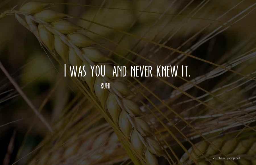 Seputar Papua Quotes By Rumi