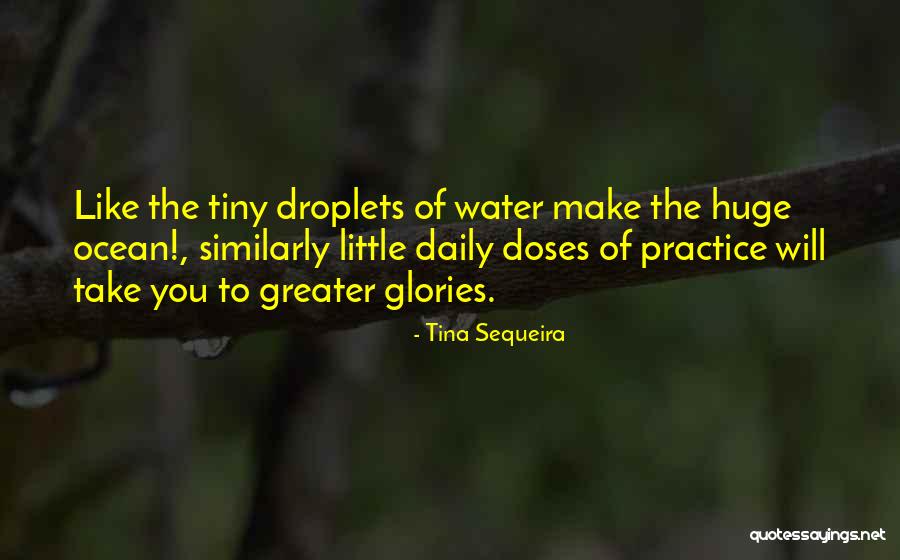Sequeira Sequeira Quotes By Tina Sequeira Sequeira Sequeira Quotes By Tina Sequeira