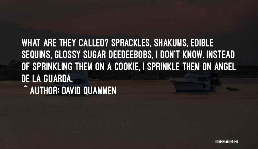 Sequins Quotes By David Quammen