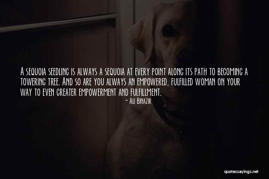 Sequoia Quotes By Ali Binazir Sequoia Quotes By Ali Binazir