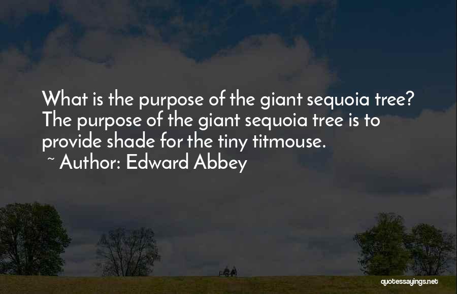 Sequoia Quotes By Edward Abbey