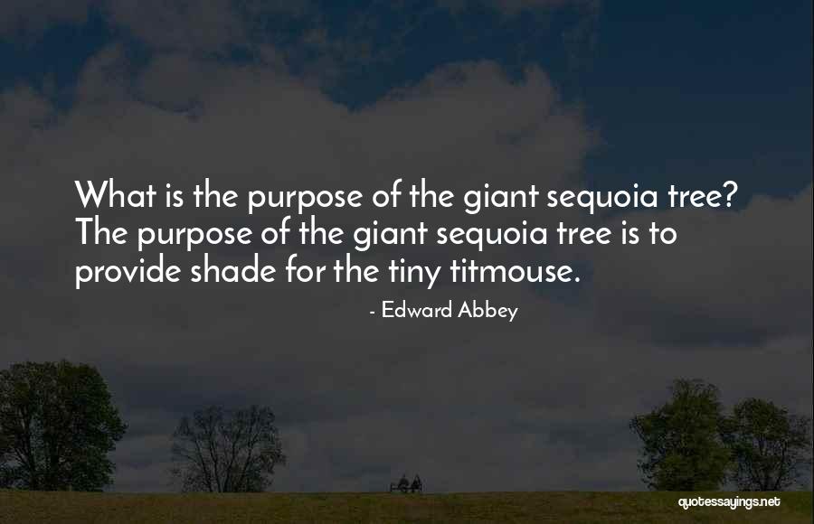 Sequoia Quotes By Edward Abbey