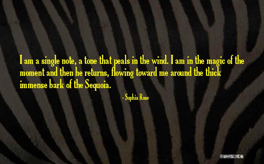 Sequoia Quotes By Sophia Rose Sequoia Quotes By Sophia Rose