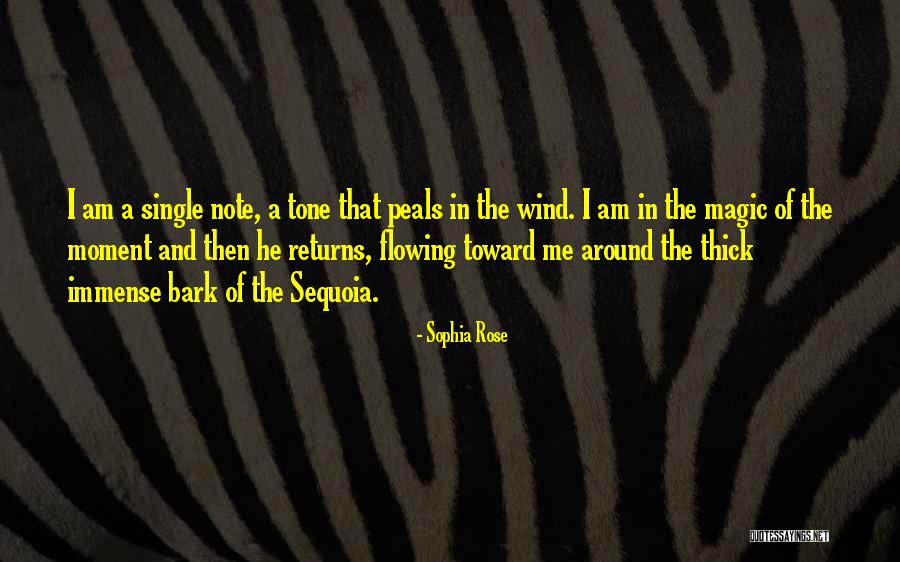 Sequoia Quotes By Sophia Rose