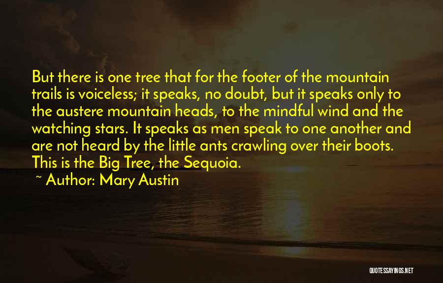 Sequoia Tree Quotes By Mary Austin