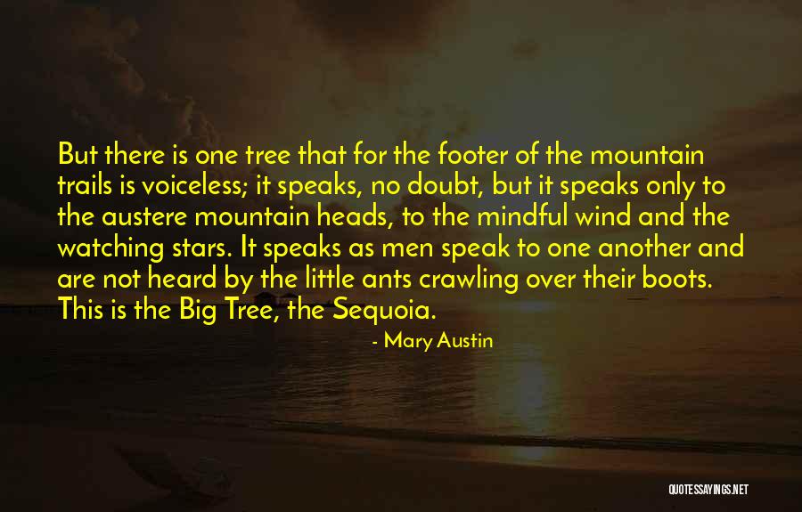 Sequoias Quotes By Mary Austin