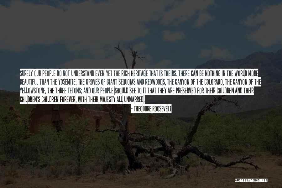 Sequoias Quotes By Theodore Roosevelt