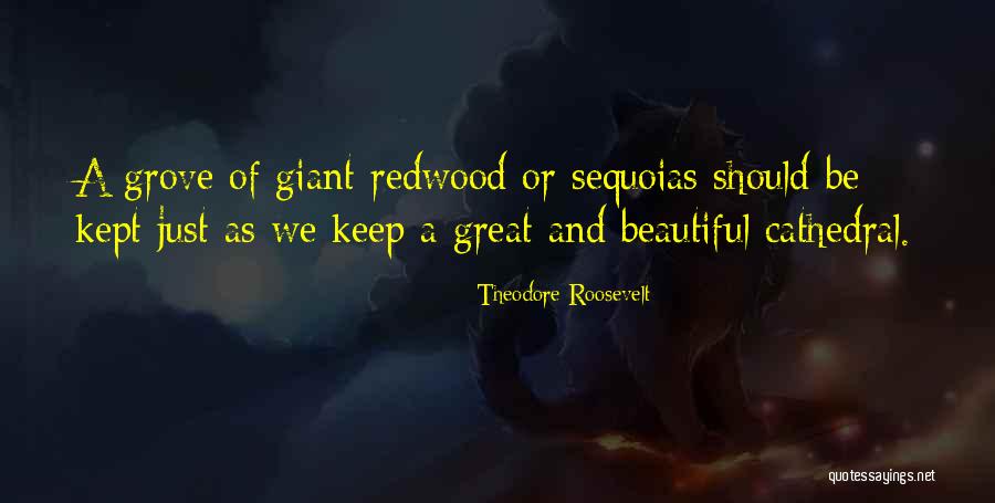 Sequoias Quotes By Theodore Roosevelt