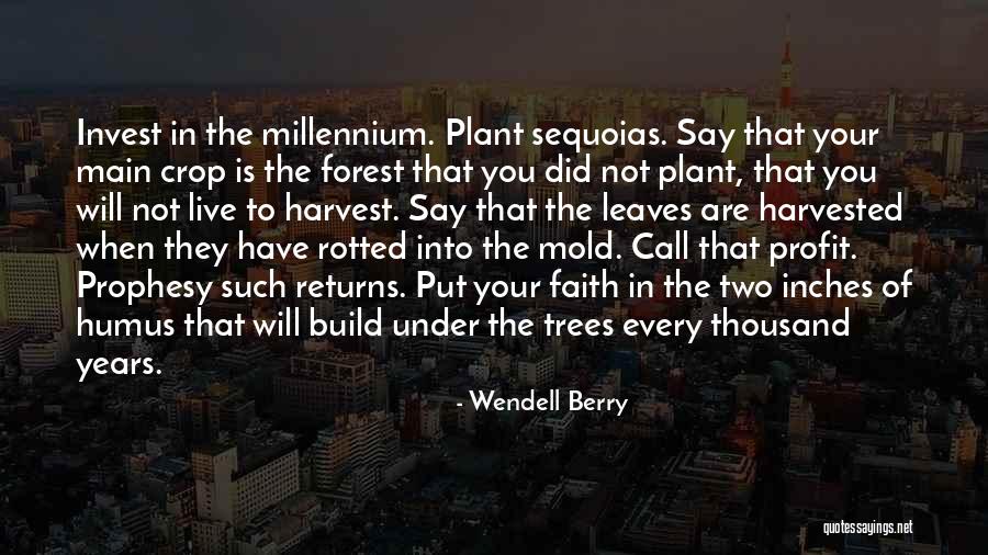 Sequoias Quotes By Wendell Berry