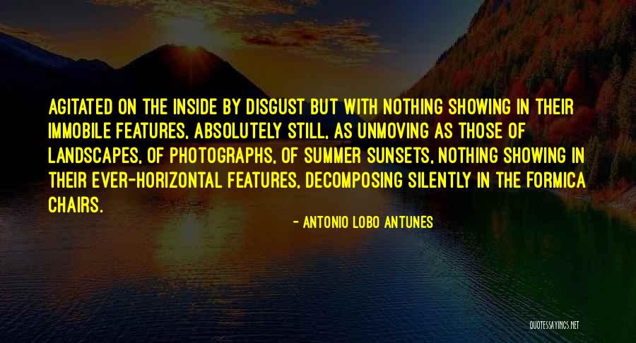 Seragion Quotes By Antonio Lobo Antunes Seragion Quotes By Antonio Lobo Antunes