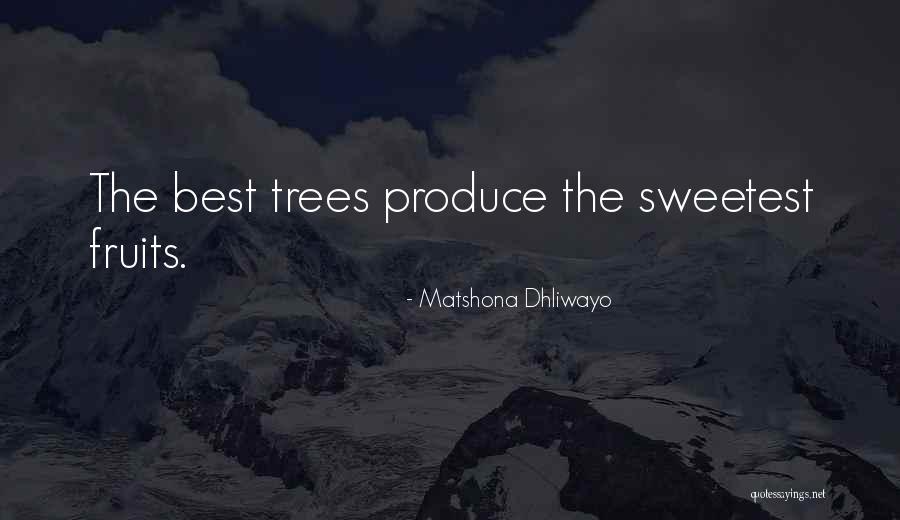 Serbatoio Gpl Quotes By Matshona Dhliwayo Serbatoio Gpl Quotes By Matshona Dhliwayo