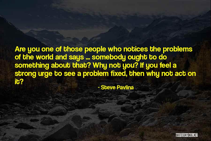 Serch Quotes By Steve Pavlina Serch Quotes By Steve Pavlina