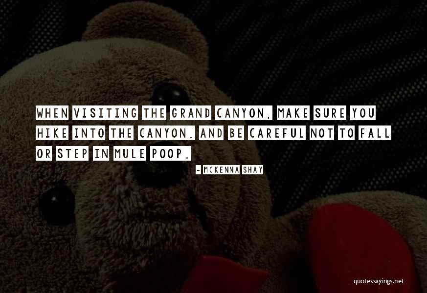 Serdar Bilgili Quotes By McKenna Shay Serdar Bilgili Quotes By McKenna Shay