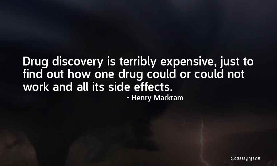 Serebii Quotes By Henry Markram Serebii Quotes By Henry Markram