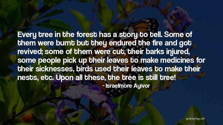 Seregni Discursos Quotes By Israelmore Ayivor