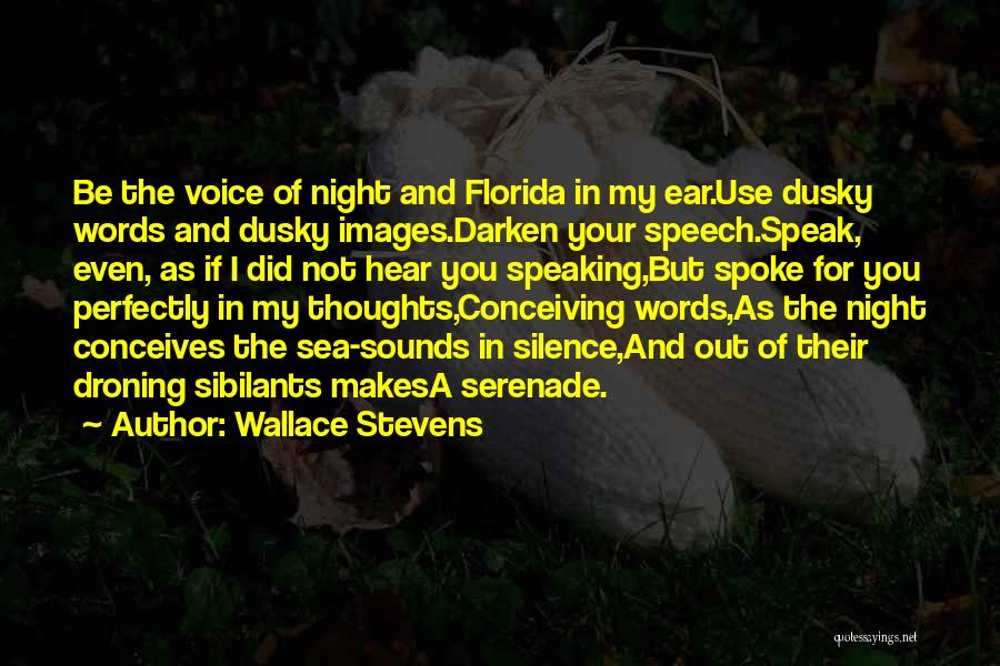 Serenade Quotes By Wallace Stevens