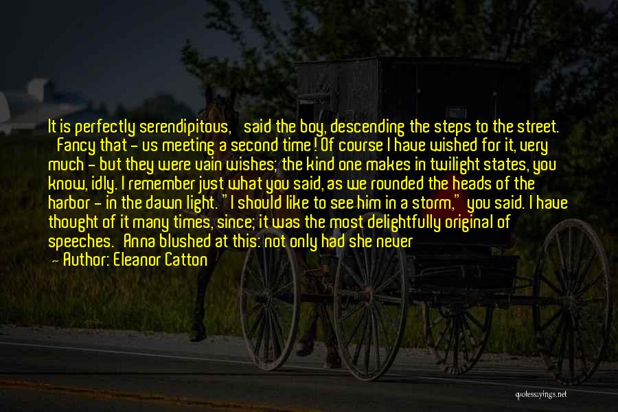 Serendipity Quotes By Eleanor Catton