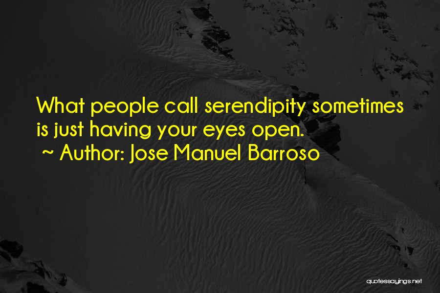 Serendipity Quotes By Jose Manuel Barroso