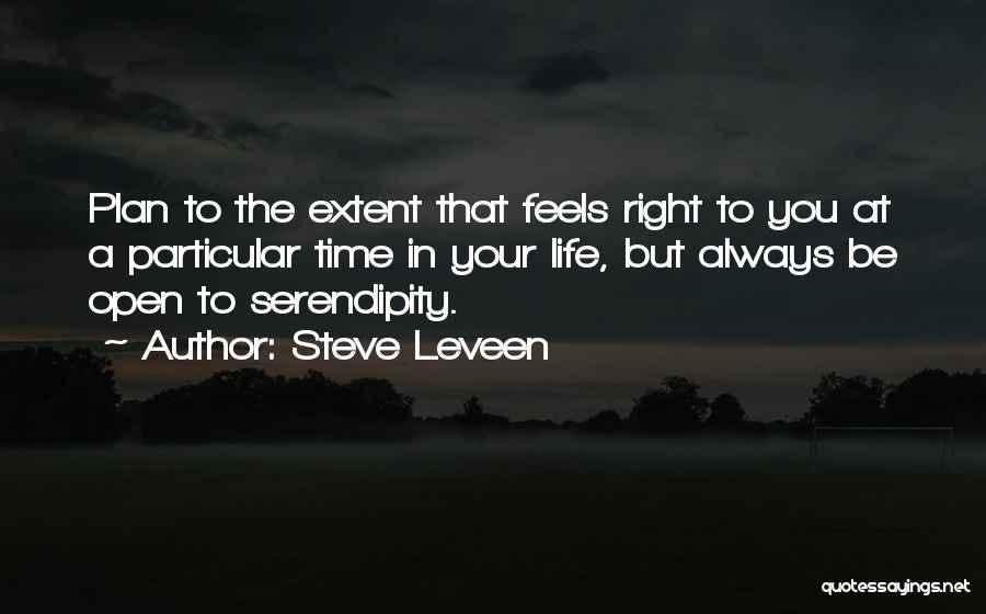 Serendipity Quotes By Steve Leveen