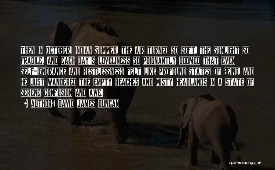 Serene Nature Quotes By David James Duncan Serene Nature Quotes By David James Duncan