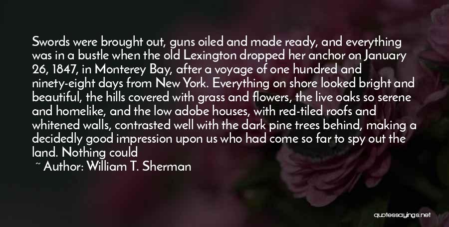 Serene Quotes By William T. Sherman