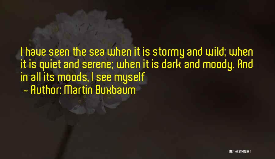 Serene Sea Quotes By Martin Buxbaum