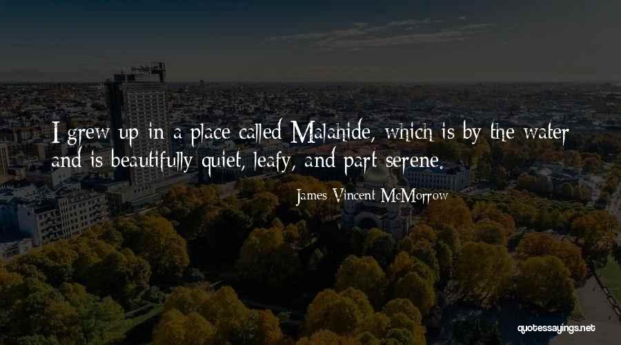 Serene Water Quotes By James Vincent McMorrow Serene Water Quotes By James Vincent McMorrow