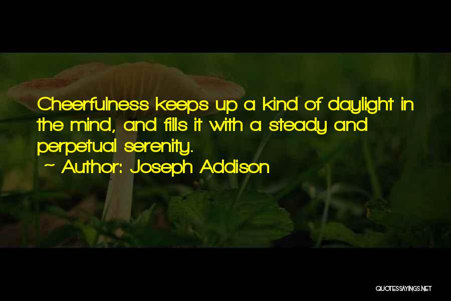 Serenity And Happiness Quotes By Joseph Addison