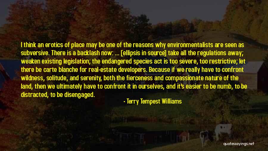 Serenity And Nature Quotes By Terry Tempest Williams Serenity And Nature Quotes By Terry Tempest Williams