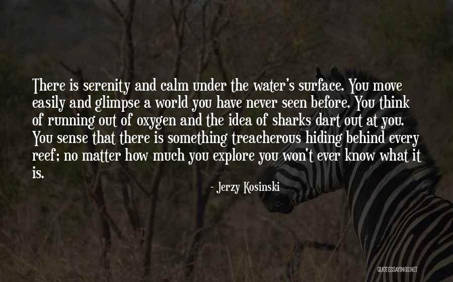 Serenity By The Water Quotes By Jerzy Kosinski Serenity By The Water Quotes By Jerzy Kosinski