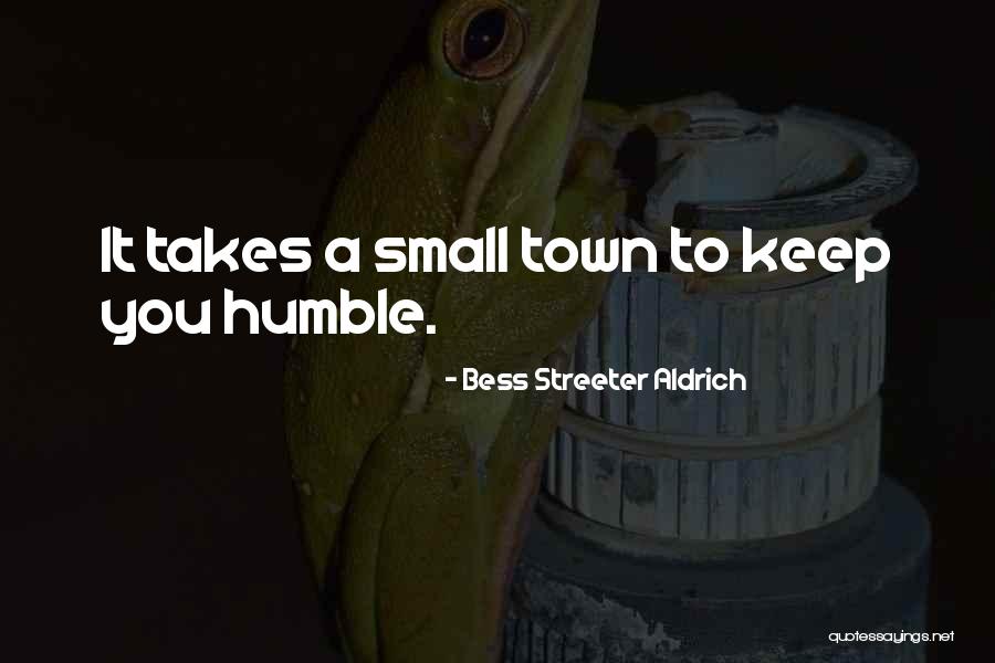 Seresin Estate Quotes By Bess Streeter Aldrich
