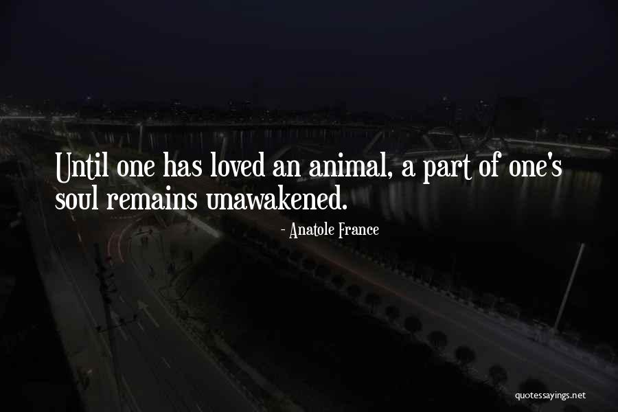 Seretis Real Estate Quotes By Anatole France
