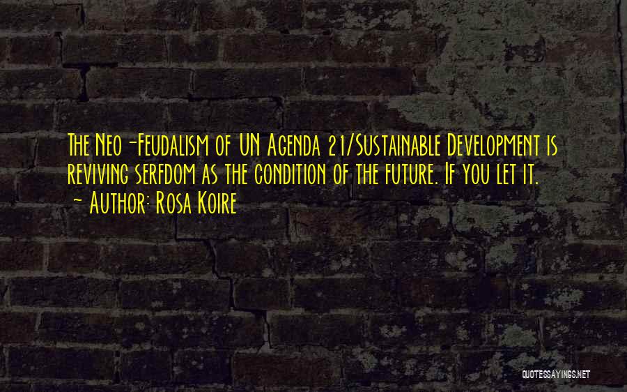 Serfdom Quotes By Rosa Koire