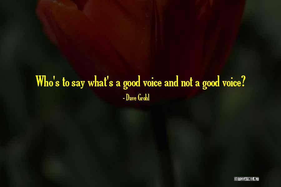 Sergal Fursuit Quotes By Dave Grohl Sergal Fursuit Quotes By Dave Grohl