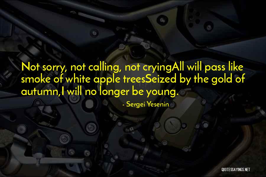 Sergei Yesenin Quotes 391268 Sergei Yesenin Quotes 391268