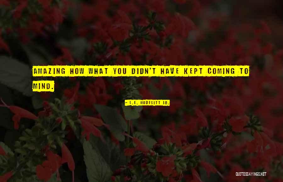 Sergej Bubka Quotes By L.E. Modesitt Jr. Sergej Bubka Quotes By L.E. Modesitt Jr.