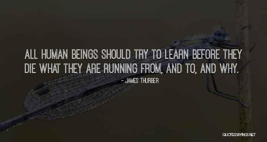 Sergejs Prokofjevs Quotes By James Thurber Sergejs Prokofjevs Quotes By James Thurber