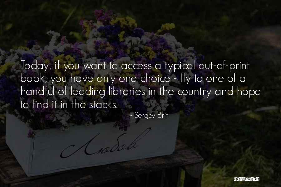 Sergey Brin Quotes 110863