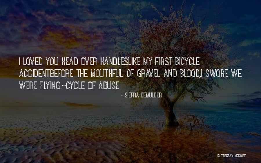 Sergine Lucien Quotes By Sierra DeMulder Sergine Lucien Quotes By Sierra DeMulder