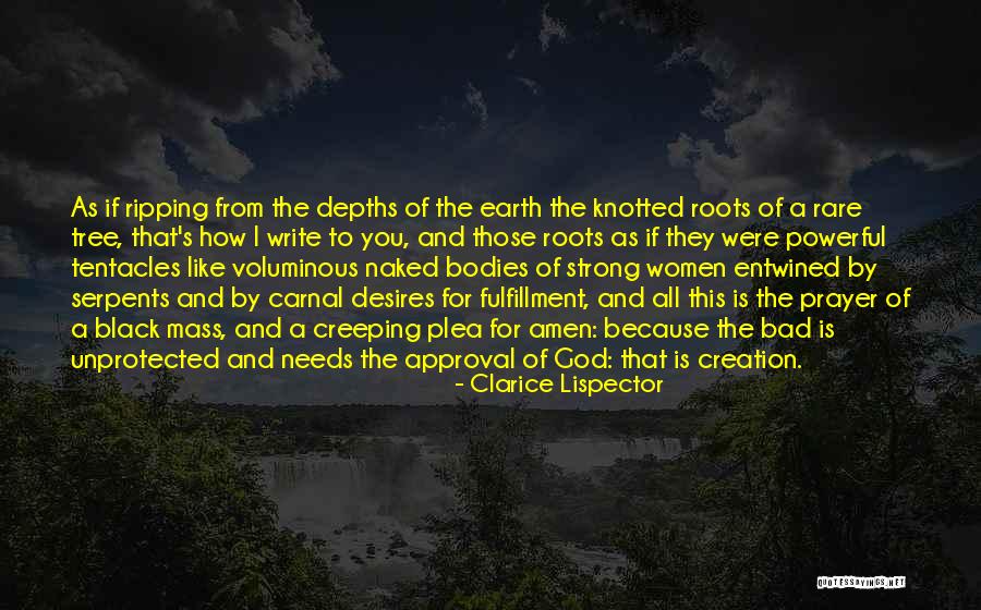 Serhiy Rebrov Quotes By Clarice Lispector Serhiy Rebrov Quotes By Clarice Lispector