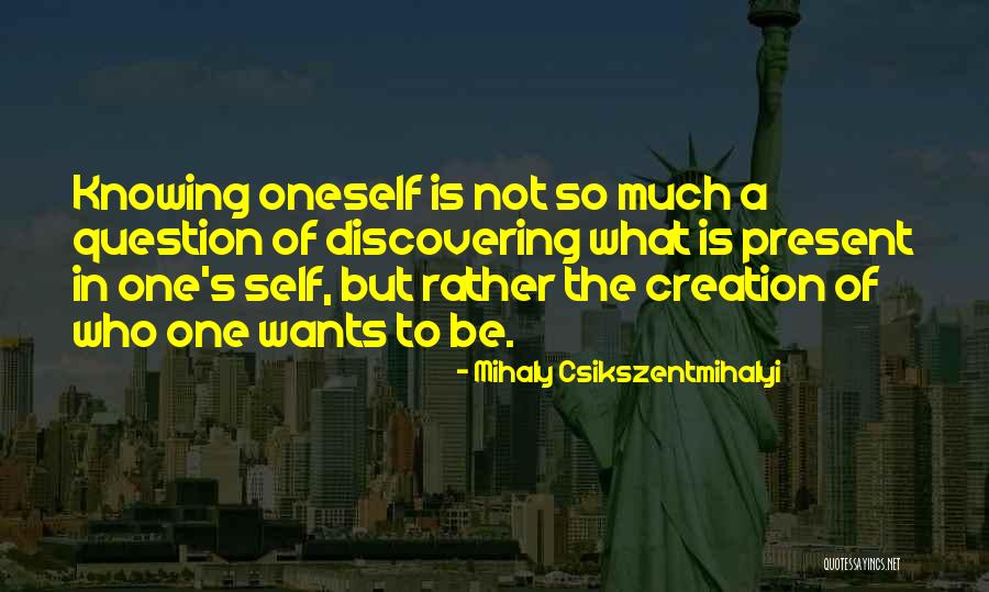 Serieuse Quotes By Mihaly Csikszentmihalyi Serieuse Quotes By Mihaly Csikszentmihalyi