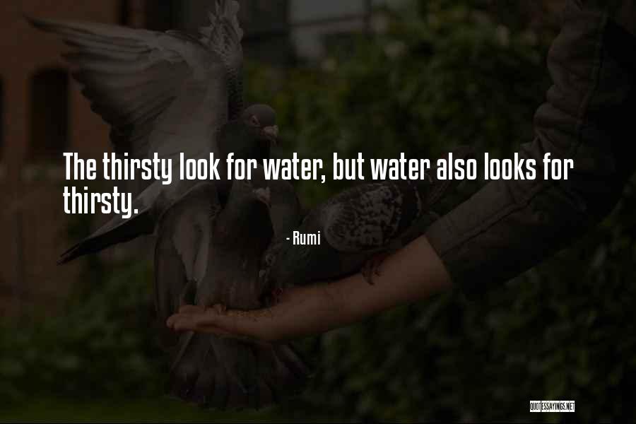 Seriosa Quotes By Rumi Seriosa Quotes By Rumi
